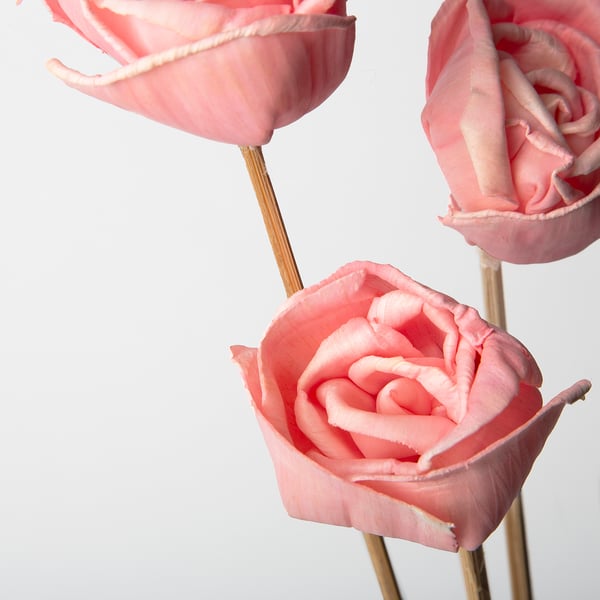 IKEA TORKA Dried Parts Of Flowers/plants Pink