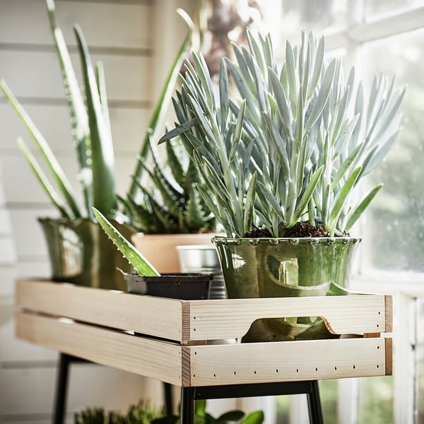 IKEA VANILJSTÅNG Plant Stand Pine/black 26 ½ "