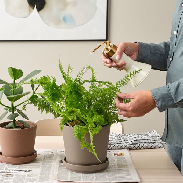 IKEA VATTENKRASSE Plant Mister Ivory/gold 12 Oz