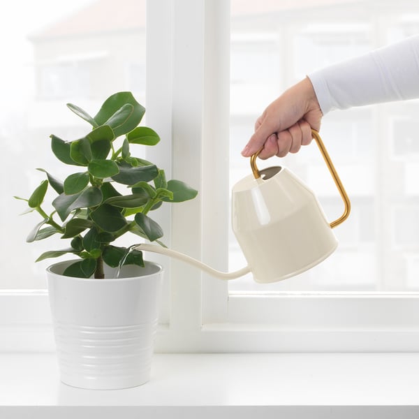 IKEA VATTENKRASSE Watering Can Ivory/gold 30 Oz