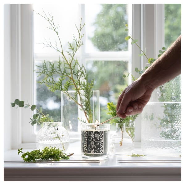 IKEA JÄMTSKOGEN Scented Candle In Glass Cypress & Eucalyptus/dark Green 45 Hr