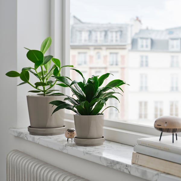 IKEA KLOTLÖNN Plant Pot With Saucer Indoor/outdoor/gray/beige 6 "