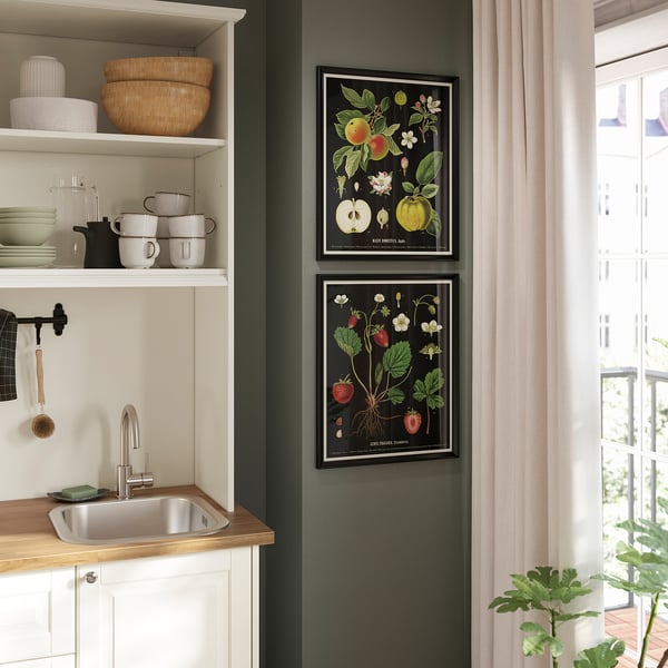IKEA KNOPPÄNG Frame With Poster Vintage Botanical Fruit Charts 16 ¼x20 "