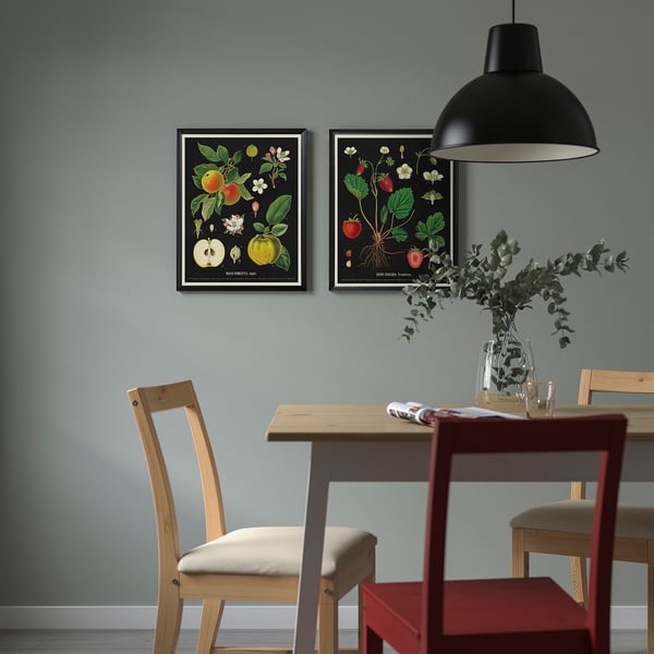 IKEA KNOPPÄNG Frame With Poster Vintage Botanical Fruit Charts 16 ¼x20 "