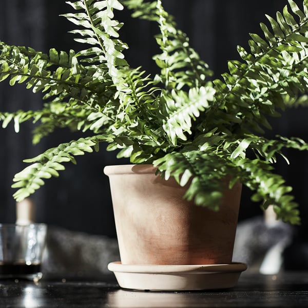 IKEA MUSKOTBLOMMA Plant Pot With Saucer Indoor/outdoor Terracotta 6 "