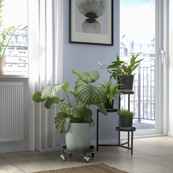 IKEA OLIVBLAD Plant Stand On Wheels Indoor/outdoor Dark Gray 12 ½ "