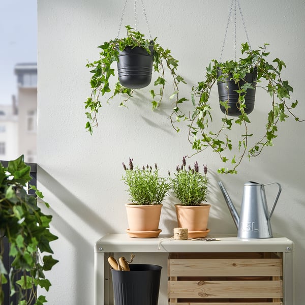 IKEA PÄRLRÖNN Hanging Planter Indoor/outdoor/black 6 "