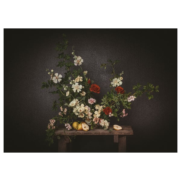 IKEA PJÄTTERYD Picture flowers-against a black wall 27 ½x19 ¾ "