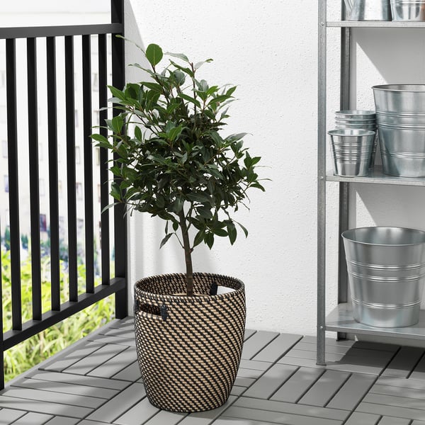 IKEA RÅGKORN Plant Pot Indoor/outdoor Dark Gray/beige 9 ½ "