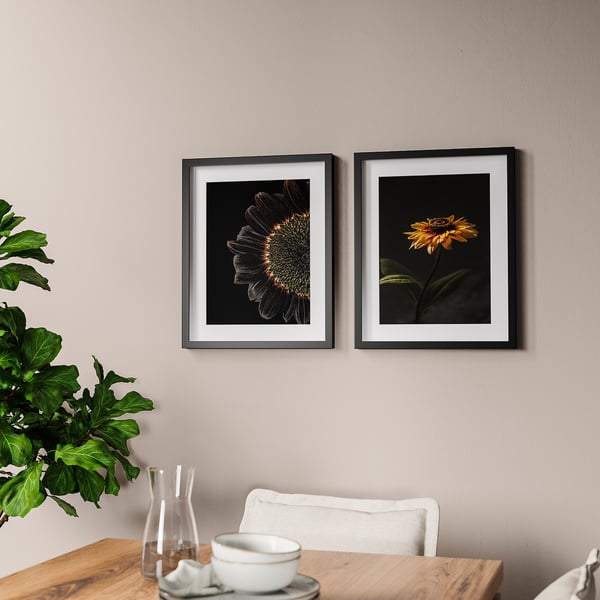 IKEA RÖDALM Frame With Poster Sunflowers 16 ¼x20 "