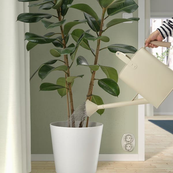 IKEA SALLADSKÅL Watering Can Indoor/outdoor Beige 304 Oz