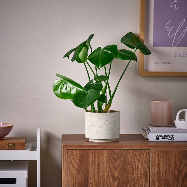 IKEA SANDKÖRSBÄR Plant Pot Indoor/outdoor/beige 4 ¾ "