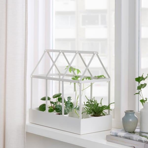 IKEA SENAPSKÅL Decoration Greenhouse Indoor/outdoor White 13 ½ "