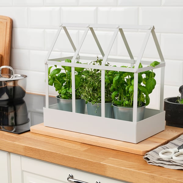 IKEA SENAPSKÅL Decoration Greenhouse Indoor/outdoor White 13 ½ "