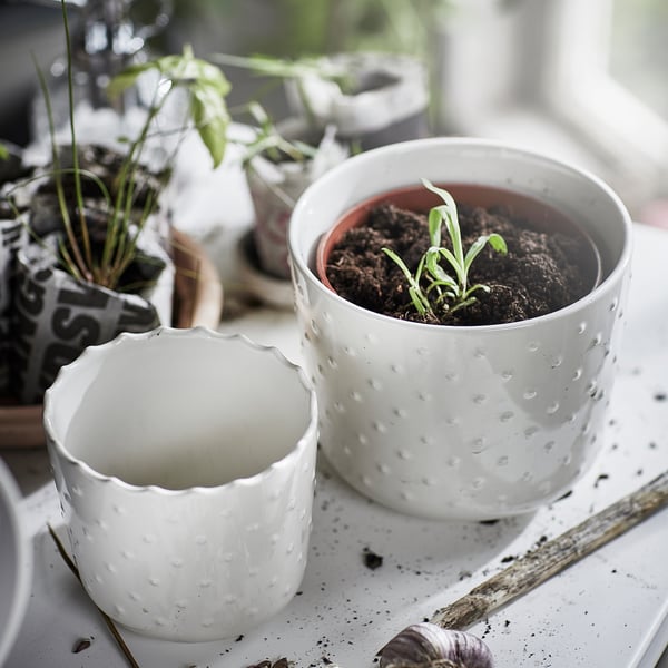 IKEA SESAMFRÖN Plant Pot Indoor/outdoor Off-white 3 ½ "