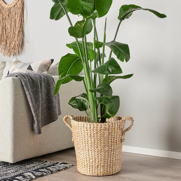 IKEA TÖRNBÄR Plant Pot Banana Fiber Handmade 12 ½ "