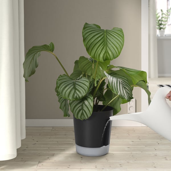IKEA VÅRDTRÄD Self-watering Plant Pot Indoor/outdoor Transparent/anthracite 7 ½ "