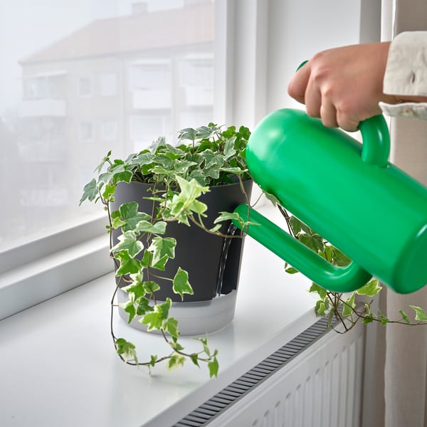 IKEA VÅRDTRÄD Self-watering Plant Pot Indoor/outdoor Transparent/anthracite 6 "