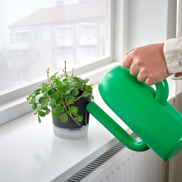 IKEA VÅRDTRÄD Self-watering Plant Pot Indoor/outdoor Transparent/anthracite 3 ½ "