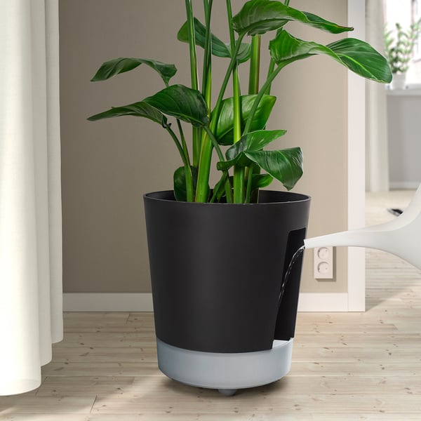 IKEA VÅRDTRÄD Self-watering Plant Pot With Wheels Indoor/outdoor/transparent Anthracite 12 ½ "