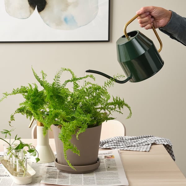 IKEA VATTENKRASSE Watering can black-green/gold 68 oz