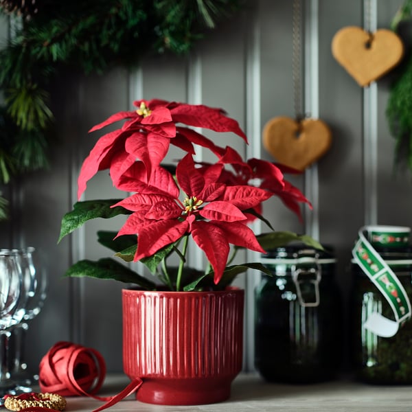 IKEA VINTERFINT Artificial Potted Plant Indoor/outdoor Poinsettia/red 4 ¾ "