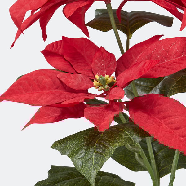 IKEA VINTERFINT Artificial Potted Plant Indoor/outdoor Poinsettia/red 4 ¾ "