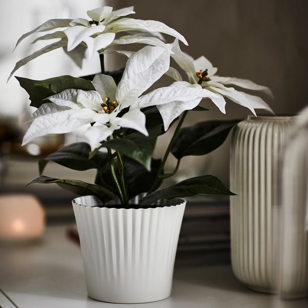 IKEA VINTERFINT Artificial Potted Plant Indoor/outdoor Poinsettia/white 4 ¾ "