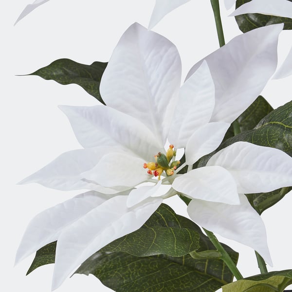 IKEA VINTERFINT Artificial Potted Plant Indoor/outdoor Poinsettia/white 4 ¾ "