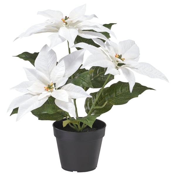 IKEA VINTERFINT Artificial potted plant indoor/outdoor Poinsettia/white 4 ¾ "
