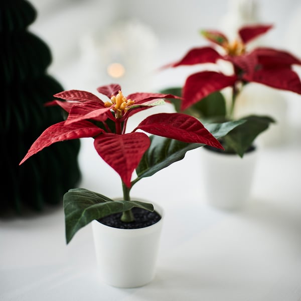 IKEA VINTERFINT Artificial Potted Plant Indoor/outdoor Poinsettia/red 2 ¼ "
