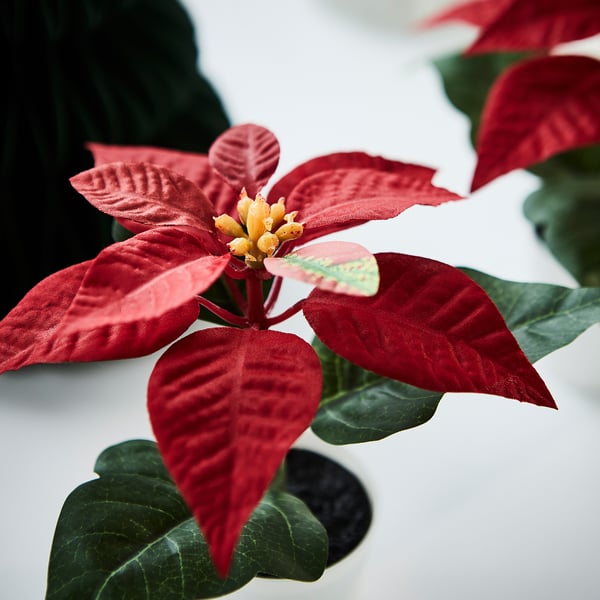 IKEA VINTERFINT Artificial Potted Plant Indoor/outdoor Poinsettia/red 2 ¼ "