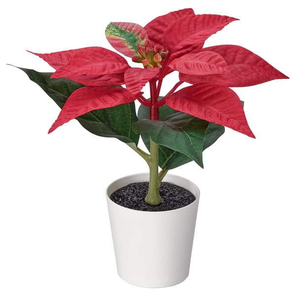 IKEA VINTERFINT Artificial potted plant indoor/outdoor Poinsettia/red 2 ¼ "