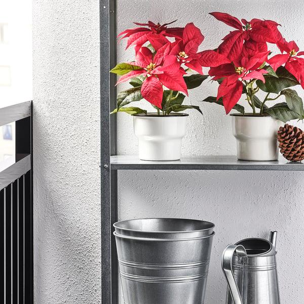 IKEA VINTERFINT Artificial Potted Plant Indoor/outdoor Poinsettia/red 4 ¾ "