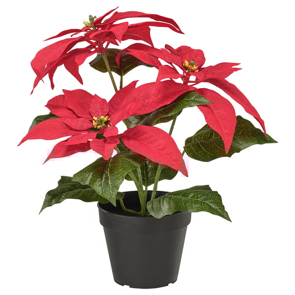 IKEA VINTERFINT Artificial potted plant indoor/outdoor Poinsettia/red 4 ¾ "