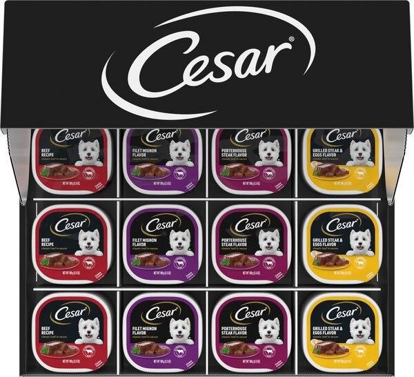 Chewy Cesar Classic Loaf in Sauce Variety Pack Small Breed Wet Dog Food 3.5-oz tray case of 60
