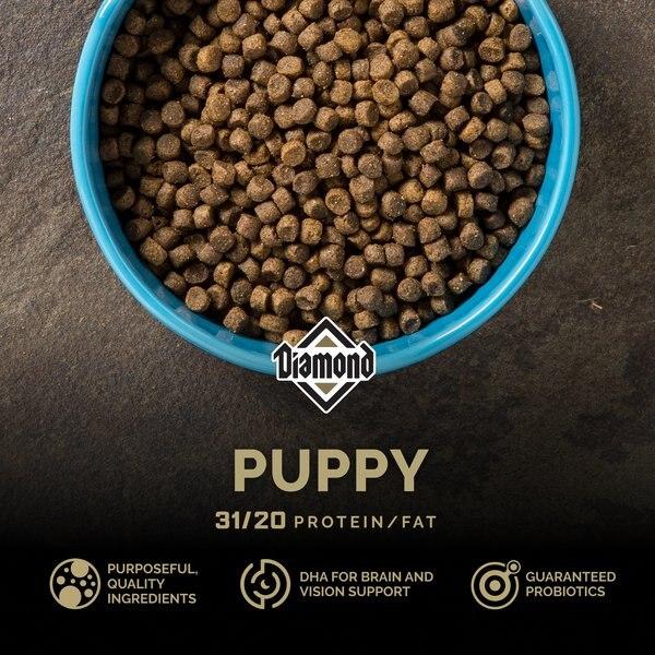 Chewy Diamond Puppy Formula Dry Dog Food 6-lb Bag