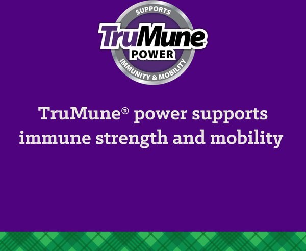 Chewy Nutrena True Puppy Dry Dog Food 40-lb Bag