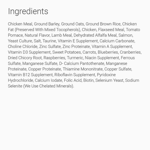 Chewy Dave's Pet Food Naturally Healthy Adult Dry Dog Food 4-lb Bag