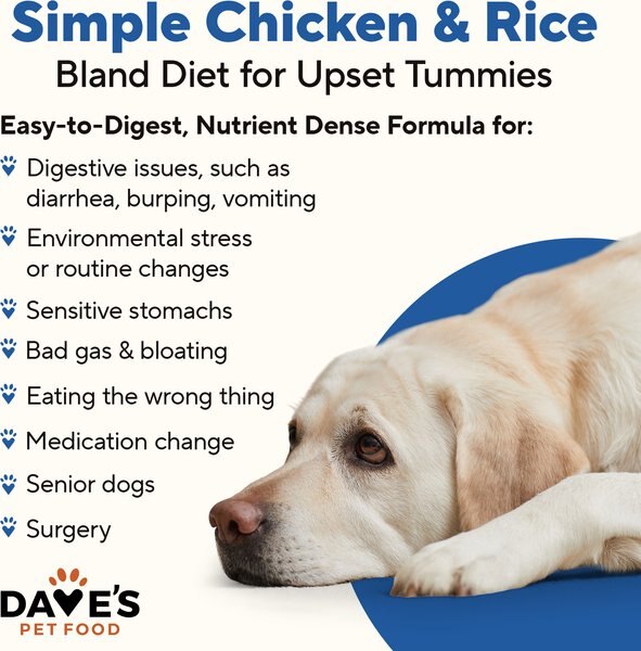 Chewy Dave's Pet Food Restricted Bland Diet Sensitive Stomach Digestive Care Chicken & Rice Canned Wet Dog Food 13.2-oz Case Of 12