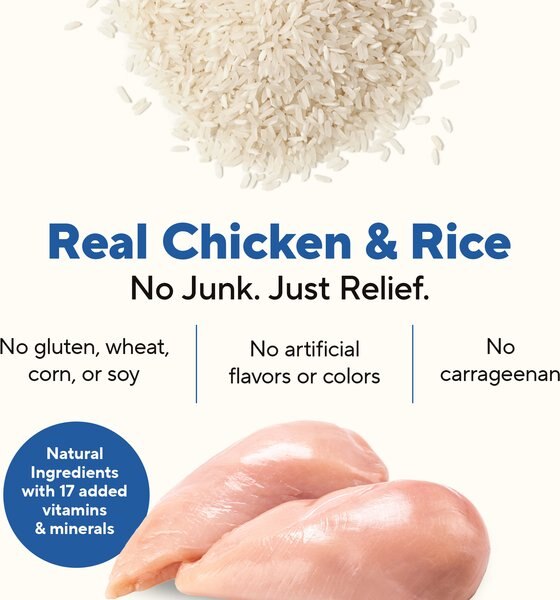 Chewy Dave's Pet Food Restricted Bland Diet Sensitive Stomach Digestive Care Chicken & Rice Canned Wet Dog Food 13.2-oz Case Of 12