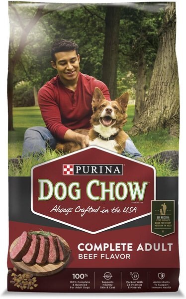 Chewy Dog Chow Complete Adult with Beef Flavor Dry Dog Food 40-lb bag