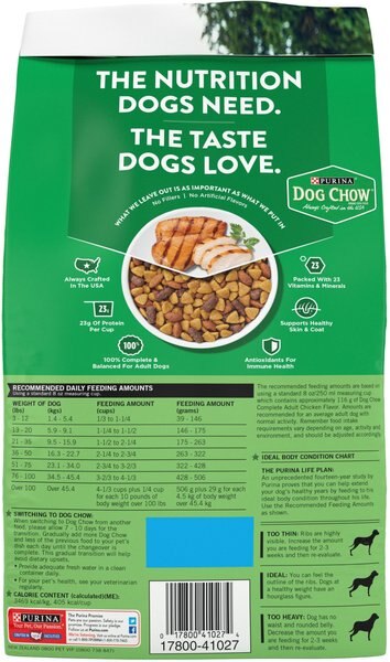 Chewy Dog Chow Complete Adult With Real Chicken Dry Dog Food 4.4-lb Bag