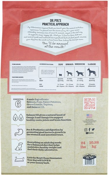 Chewy Dr. Pol Healthy Balance Salmon Recipe Grain-Free Dry Dog Food 4-lb Bag