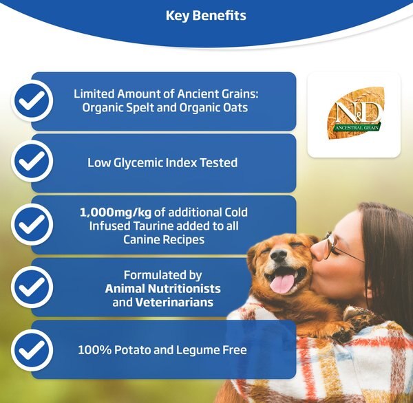 Chewy Farmina N&D Ancestral Grain Lamb & Blueberry Recipe Puppy Medium & Maxi Dry Dog Food 5.5-lb Bag