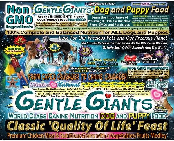 Chewy Gentle Giants Natural Non-GMO Dog & Puppy Chicken Dry Dog Food 15-lb Bag
