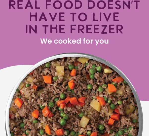 Chewy Health Extension Gently Cooked Beef & Potato Recipe Wet Dog Food 9-oz Pouch 1 Count