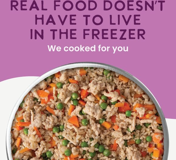 Chewy Health Extension Gently Cooked Grain-Free Variety Pack Wet Dog Food 3-oz Pouch 20 Count