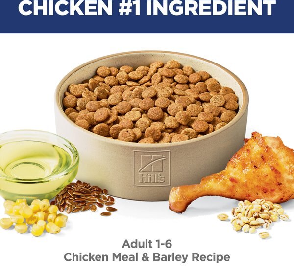 Chewy Hill's Science Diet Adult Chicken & Barley Recipe Dry Dog Food 5-lb Bag