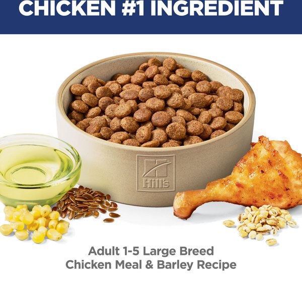 Chewy Hill's Science Diet Adult Large Breed Chicken & Barley Dry Dog Food 35-lb Bag